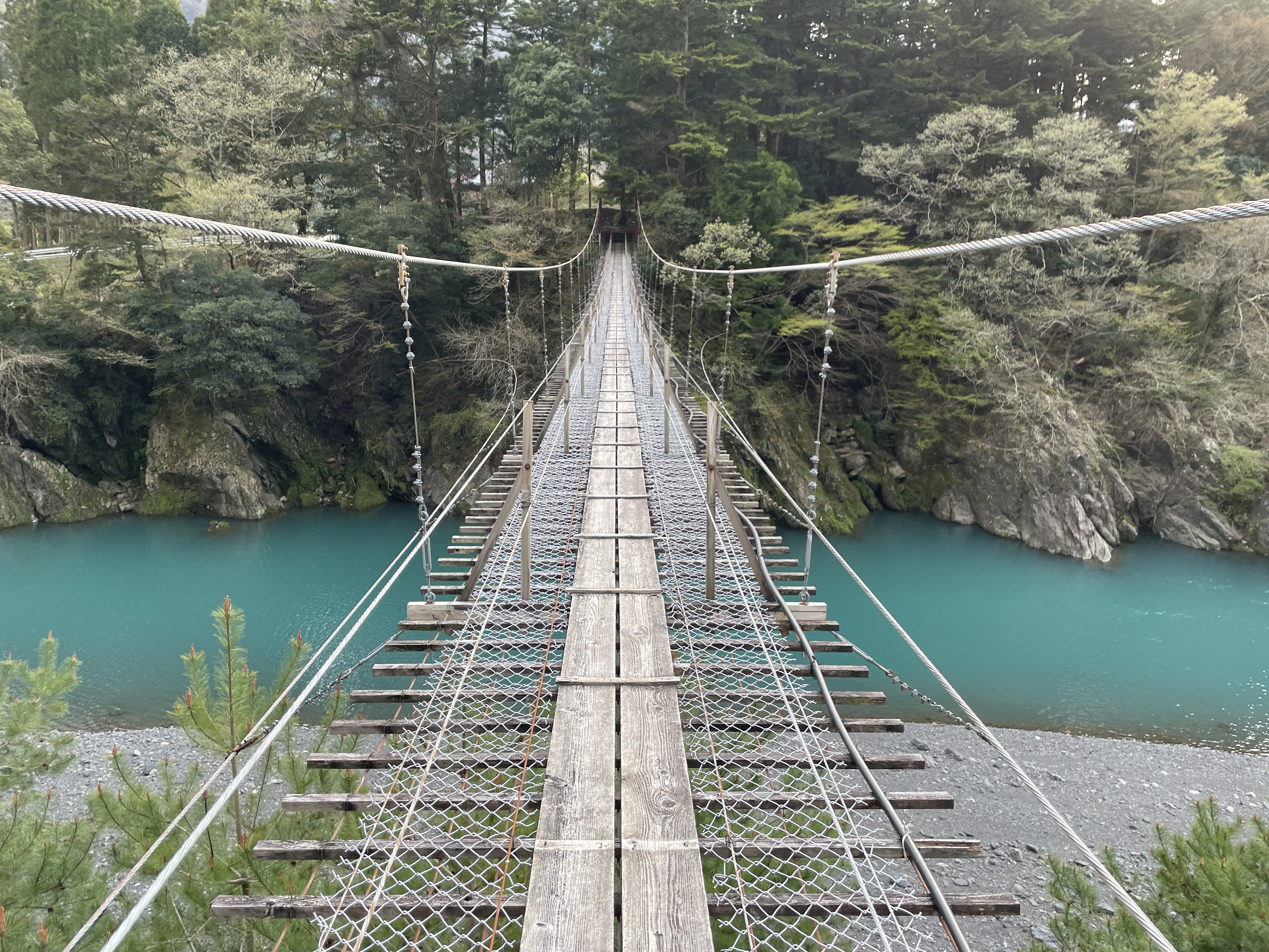 八木の吊り橋